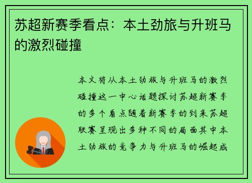 苏超新赛季看点：本土劲旅与升班马的激烈碰撞