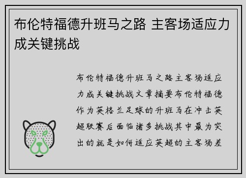 布伦特福德升班马之路 主客场适应力成关键挑战